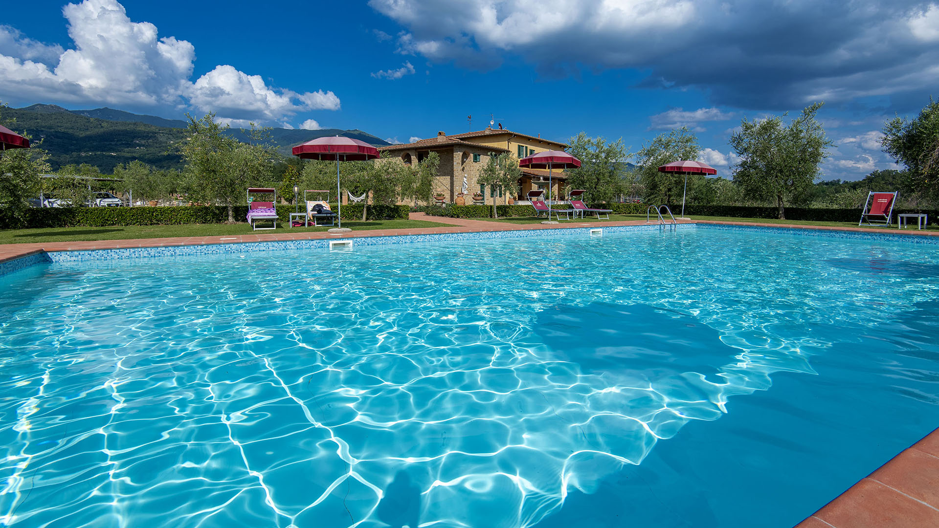 Swimming pool with a view